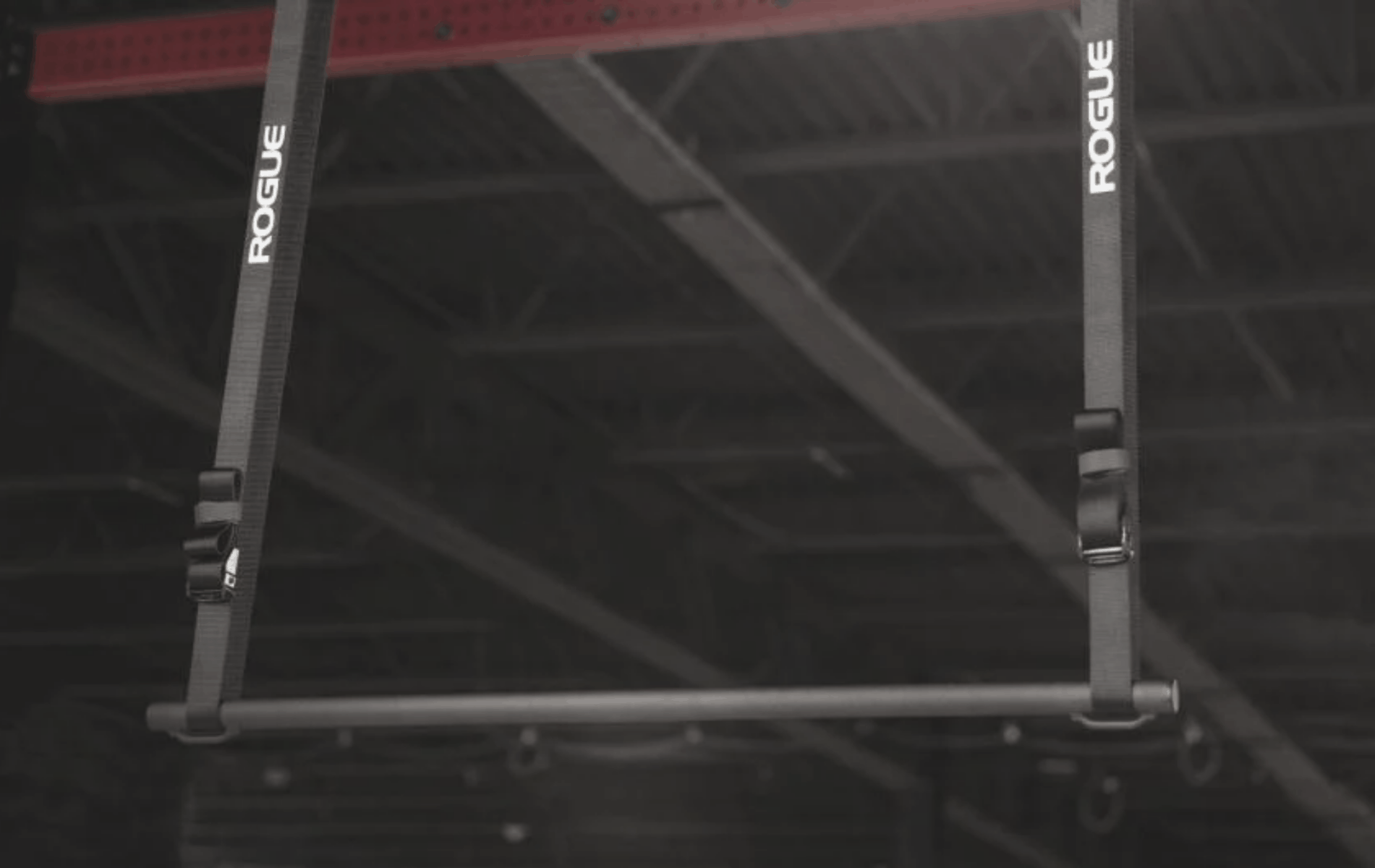 Rogue Individual Pull-Up System