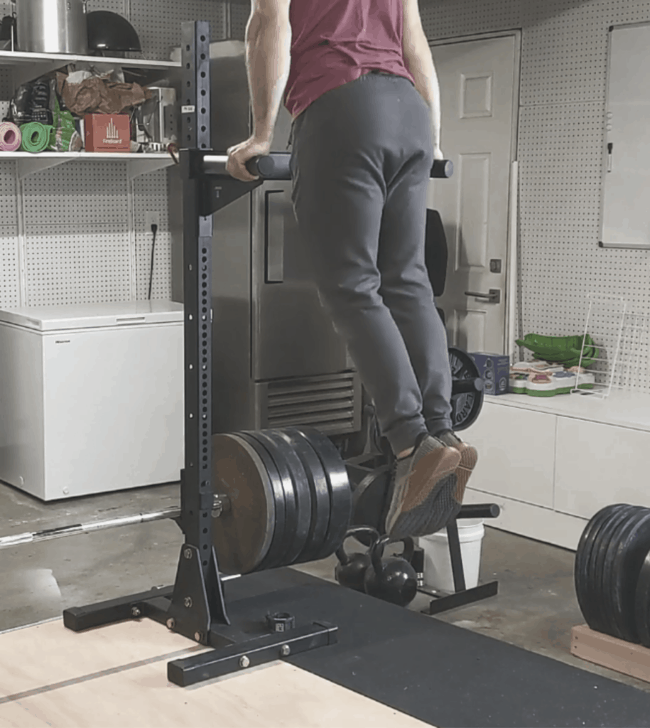 dip bar attached to a standalone single squat stand