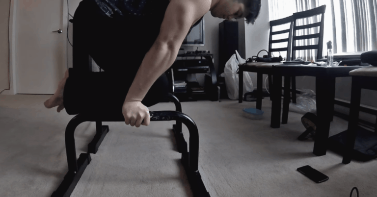 Home Workout with Parallette Bars